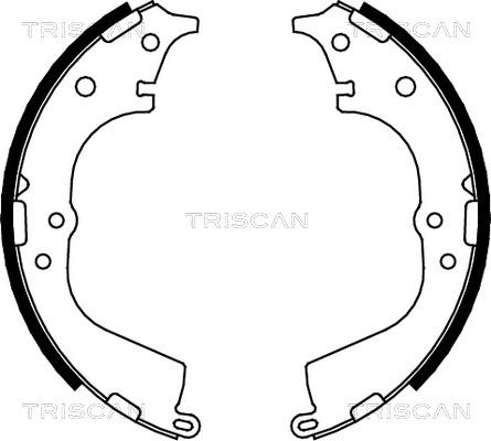 Triscan 8100 13591 - Комплект тормозных колодок, барабанные unicars.by