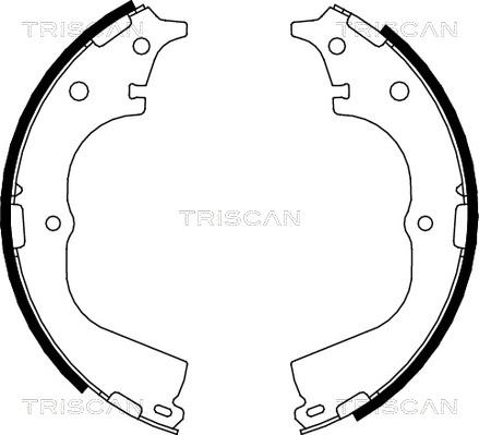 Triscan 8100 13557 - Комплект тормозных колодок, барабанные unicars.by