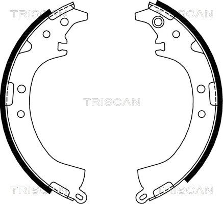 Triscan 8100 13569 - Комплект тормозных колодок, барабанные unicars.by