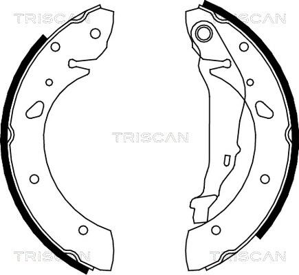 Triscan 8100 13624 - Комплект тормозных колодок, барабанные unicars.by