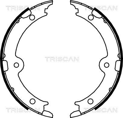 Triscan 8100 13045 - Комплект тормозов, ручник, парковка unicars.by