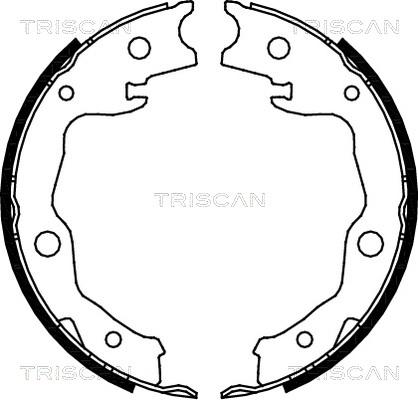 Triscan 8100 13042 - Комплект тормозных колодок, барабанные unicars.by