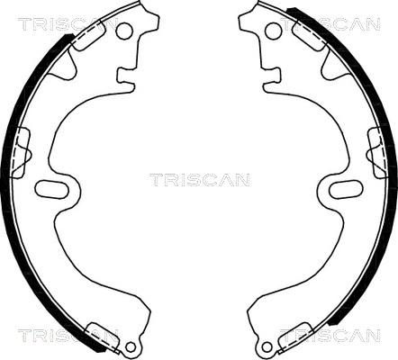 Triscan 8100 13051 - Комплект тормозных колодок, барабанные unicars.by