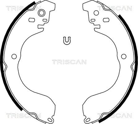 Triscan 8100 80017 - Комплект тормозных колодок, барабанные unicars.by