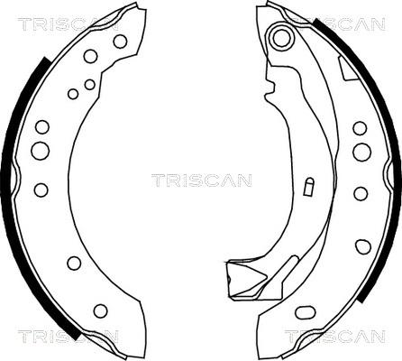 Triscan 8100 38001 - Комплект тормозных колодок, барабанные unicars.by