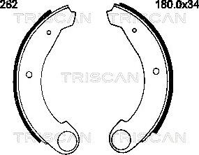 Triscan 8100 38262 - Комплект тормозных колодок, барабанные unicars.by