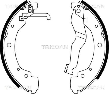 Triscan 8100 29549 - Комплект тормозных колодок, барабанные unicars.by