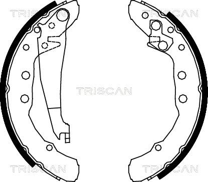 Triscan 8100 29530 - Комплект тормозных колодок, барабанные unicars.by