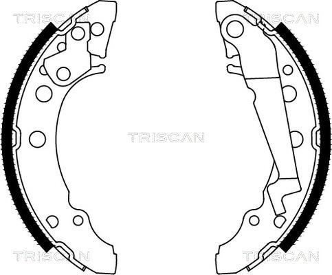 Triscan 8100 29001 - Комплект тормозных колодок, барабанные unicars.by