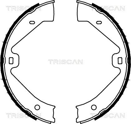 Triscan 8100 29002 - Комплект тормозов, ручник, парковка unicars.by