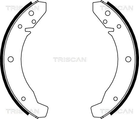 Triscan 8100 29104 - Комплект тормозных колодок, барабанные unicars.by