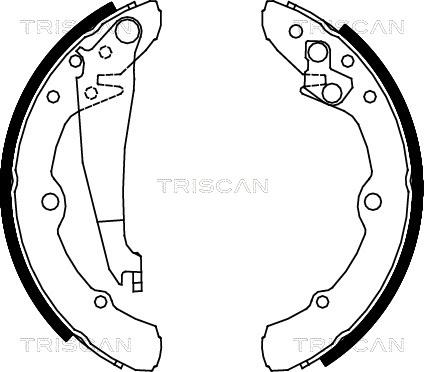 Triscan 8100 29343 - Комплект тормозных колодок, барабанные unicars.by