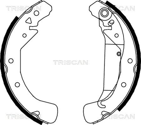 Triscan 8100 24589 - Комплект тормозных колодок, барабанные unicars.by