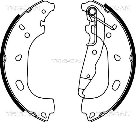 Triscan 8100 24004 - Комплект тормозных колодок, барабанные unicars.by