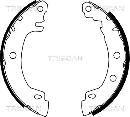 Triscan 8100 25581 - Комплект тормозных колодок, барабанные unicars.by