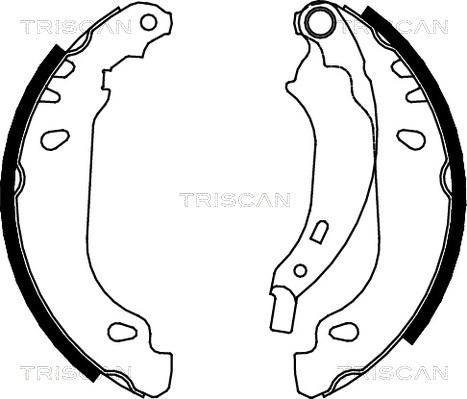 Triscan 8100 25637 - Комплект тормозных колодок, барабанные unicars.by