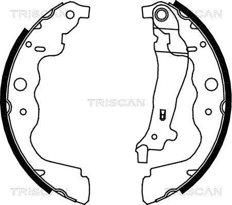 Triscan 8100 25004 - Комплект тормозных колодок, барабанные unicars.by