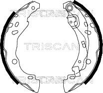 Triscan 8100 25001 - Комплект тормозных колодок, барабанные unicars.by