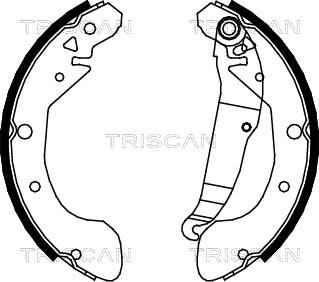 Triscan 8100 21612 - Комплект тормозных колодок, барабанные unicars.by