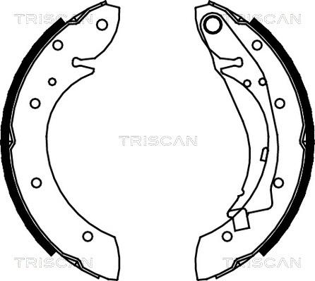 Triscan 8100 28598 - Комплект тормозных колодок, барабанные unicars.by