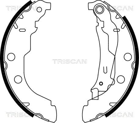 Triscan 8100 28582 - Комплект тормозных колодок, барабанные unicars.by