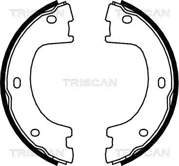 Triscan 8100 23032 - Комплект тормозных колодок, барабанные unicars.by