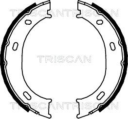 Triscan 8100 23024 - Комплект тормозов, ручник, парковка unicars.by