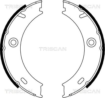 Triscan 8100 23025 - Комплект тормозов, ручник, парковка unicars.by