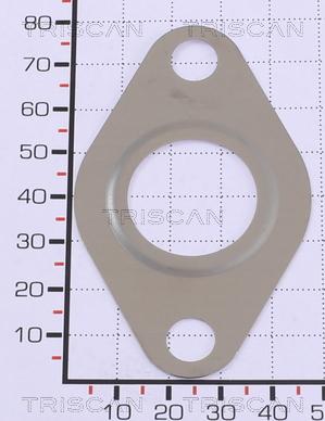 Triscan 8813 99145 - Прокладка unicars.by
