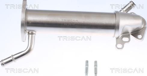 Triscan 8813 16110 - Радиатор, рециркуляция ОГ unicars.by