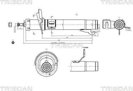 Triscan 8705 16110 - Амортизатор unicars.by