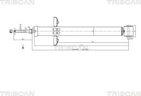 Triscan 8705 29209 - Амортизатор unicars.by