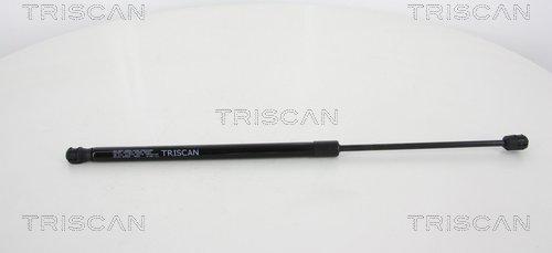 Triscan 8710 43229 - Газовая пружина, упор unicars.by