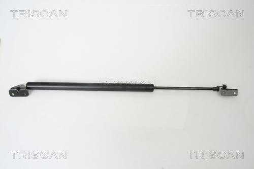 Triscan 8710 42231 - Газовая пружина, упор unicars.by