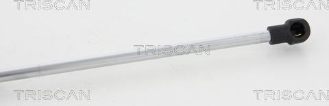 Triscan 8710 17105 - Газовая пружина, капот unicars.by