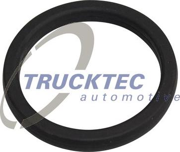 Trucktec Automotive 03.19.210 - Прокладка, водяной насос unicars.by