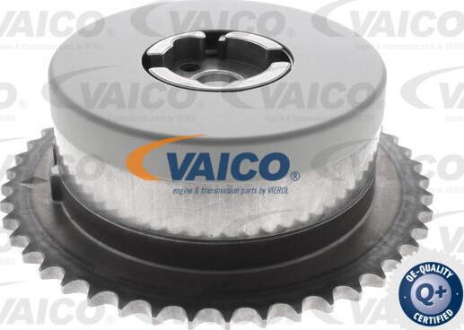 VAICO V40-1204 - Шестерня привода распределительного вала unicars.by