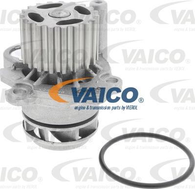 VAICO V10-50105-BEK - Водяной насос + комплект зубчатого ремня ГРМ unicars.by