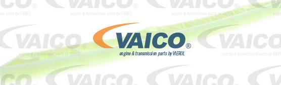 VAICO V10-10022-BEK - Комплект цепи привода распредвала unicars.by