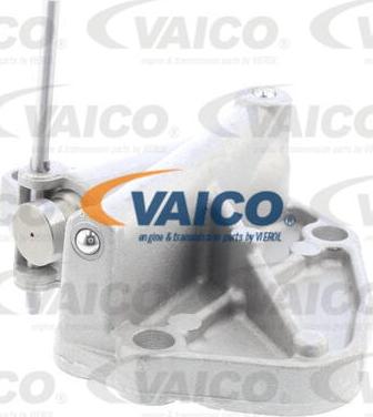 VAICO V10-4503 - Натяжитель цепи ГРМ unicars.by