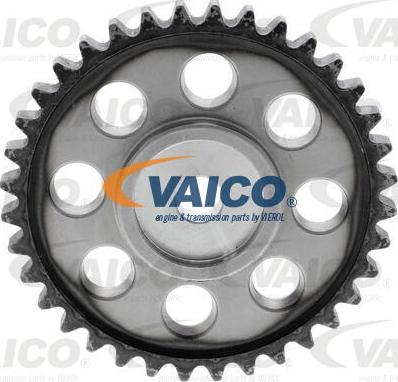 VAICO V10-10010-SP - Комплект цепи привода распредвала unicars.by