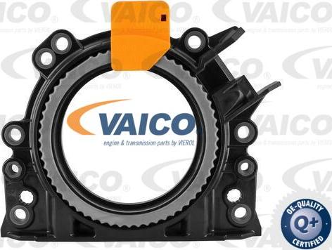 VAICO V10-3683 - Уплотняющее кольцо, коленчатый вал unicars.by