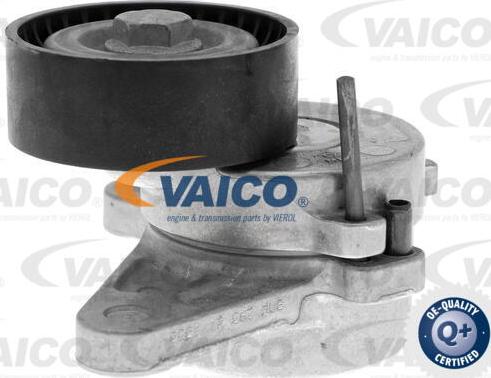 VAICO V10-3703 - Натяжитель, поликлиновый ремень unicars.by