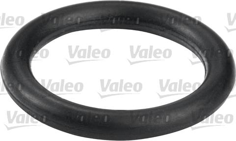 Valeo 587555 - Топливный фильтр unicars.by