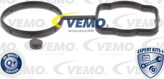 Vemo V10-4919 - Ремкомплект, водяной насос unicars.by