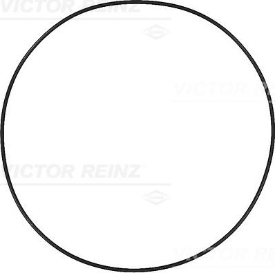 Victor Reinz 40-73555-00 - Уплотнительное кольцо unicars.by