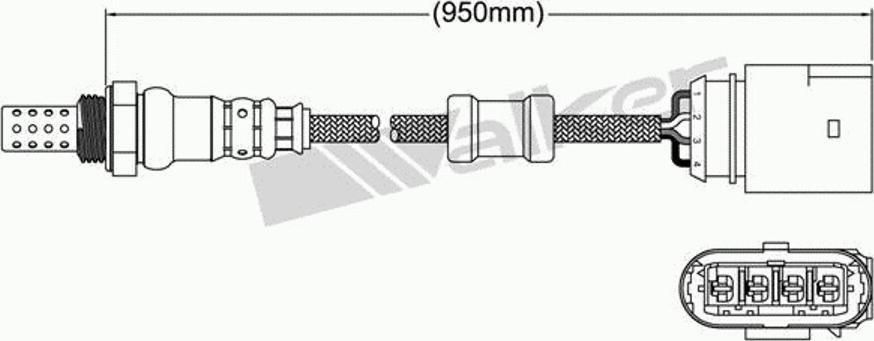 Walker 250-24494 - Клиновой ремень, поперечные рёбра unicars.by