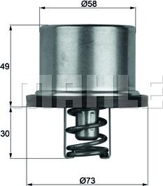 Wilmink Group WG1150247 - Термостат охлаждающей жидкости / корпус unicars.by