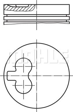 Wilmink Group WG1201594 - Поршень unicars.by