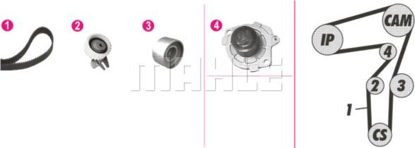 Wilmink Group WG2182190 - Водяной насос + комплект зубчатого ремня ГРМ unicars.by